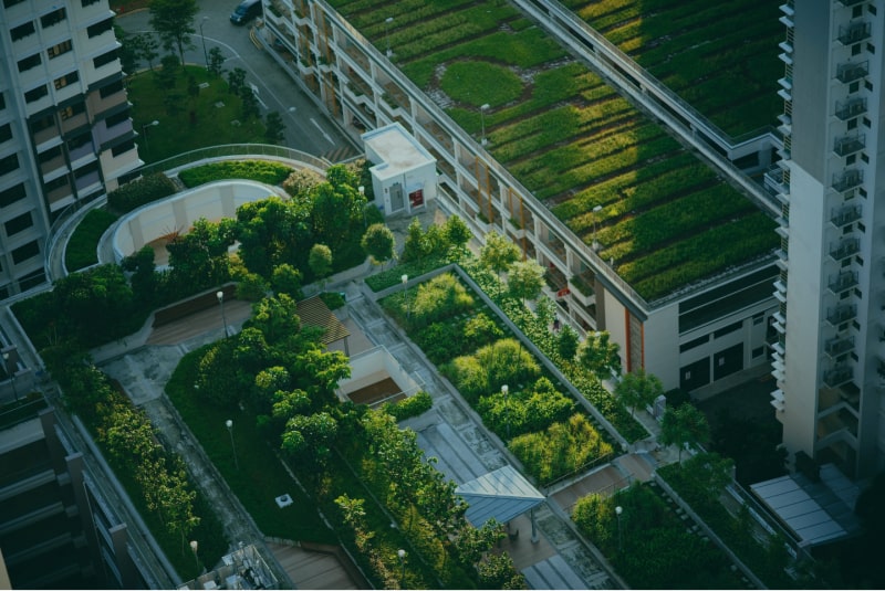 Urban gardens view from above