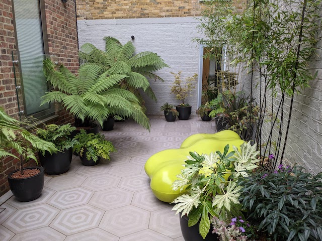 modern patio with exotix shrubs