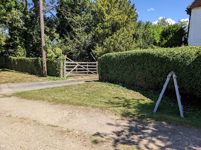 long hedge trimmed