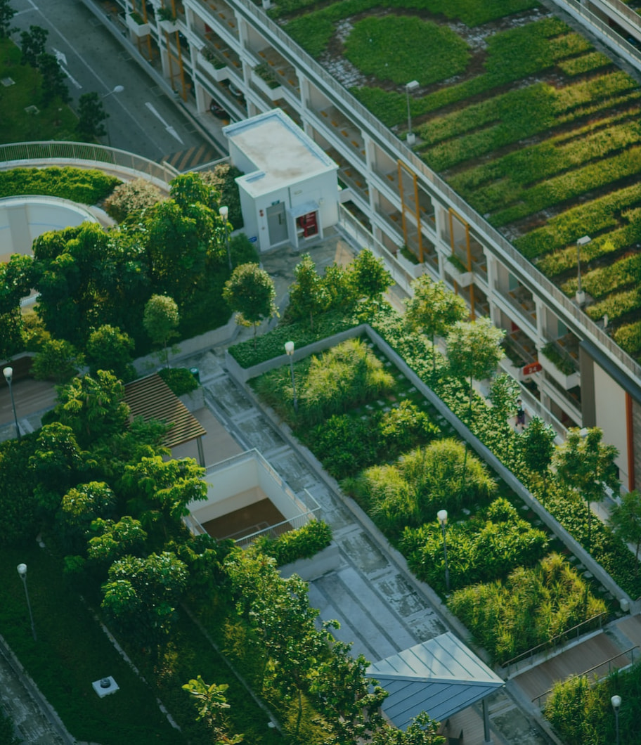 Urban gardens view from above